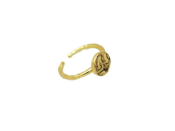 18k Gold Vermeil Hammered Signet Ring - Brink and Forbes