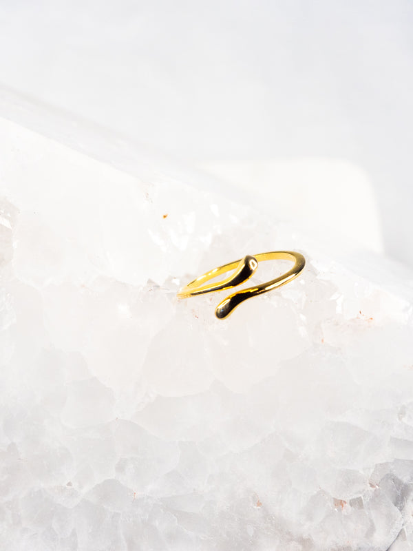 18K Vermeil Delicate Wrap Ring - Brink and Forbes
