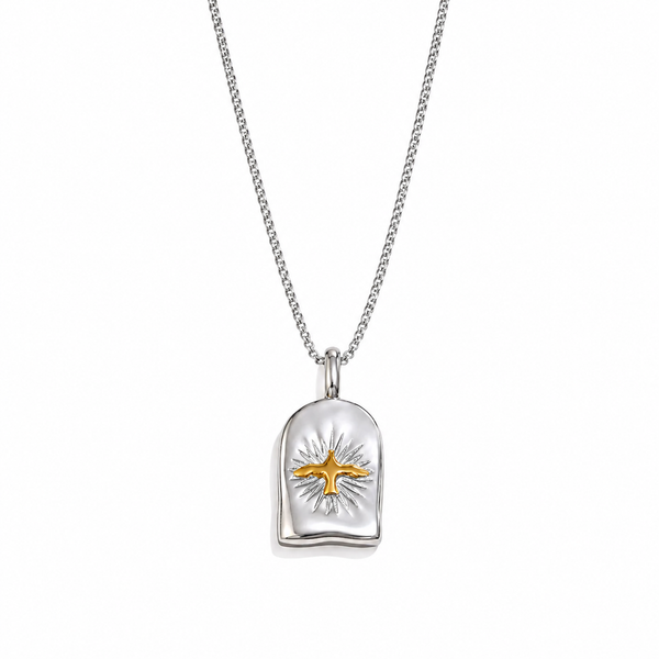 Astra Bird pendant necklace in gold and silver with sunburst detail, waterproof stainless steel jewellery