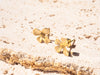 18k Gold Vermeil Delicate Flower Stud Earrings - Brink and Forbes