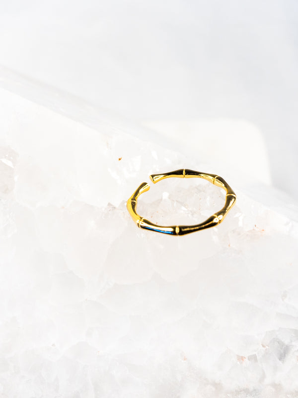18K Vermeil Delicate Stackable Bamboo Ring - Brink and Forbes
