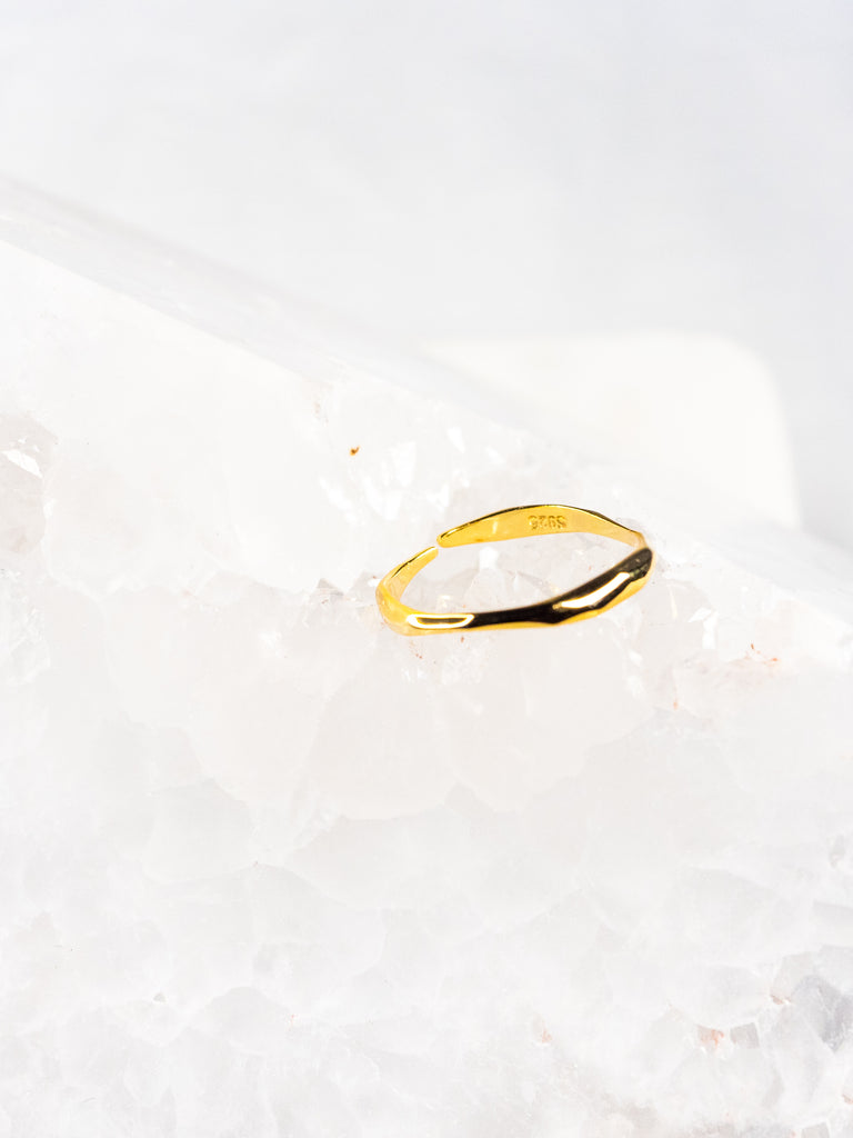 18K Vermeil Delicate Stackable Hammered Ring - Brink and Forbes