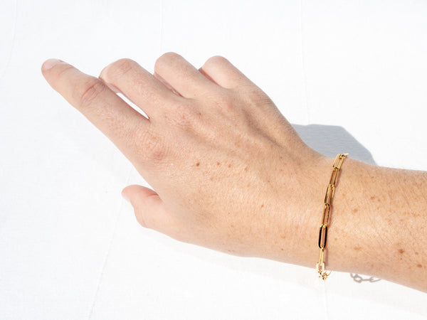 18K Gold Plated Paperclip Chain Bracelet - Brink and Forbes